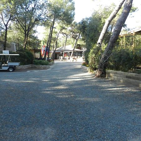 Camping Casa Di Caccia 마리나디비보나 외부 사진