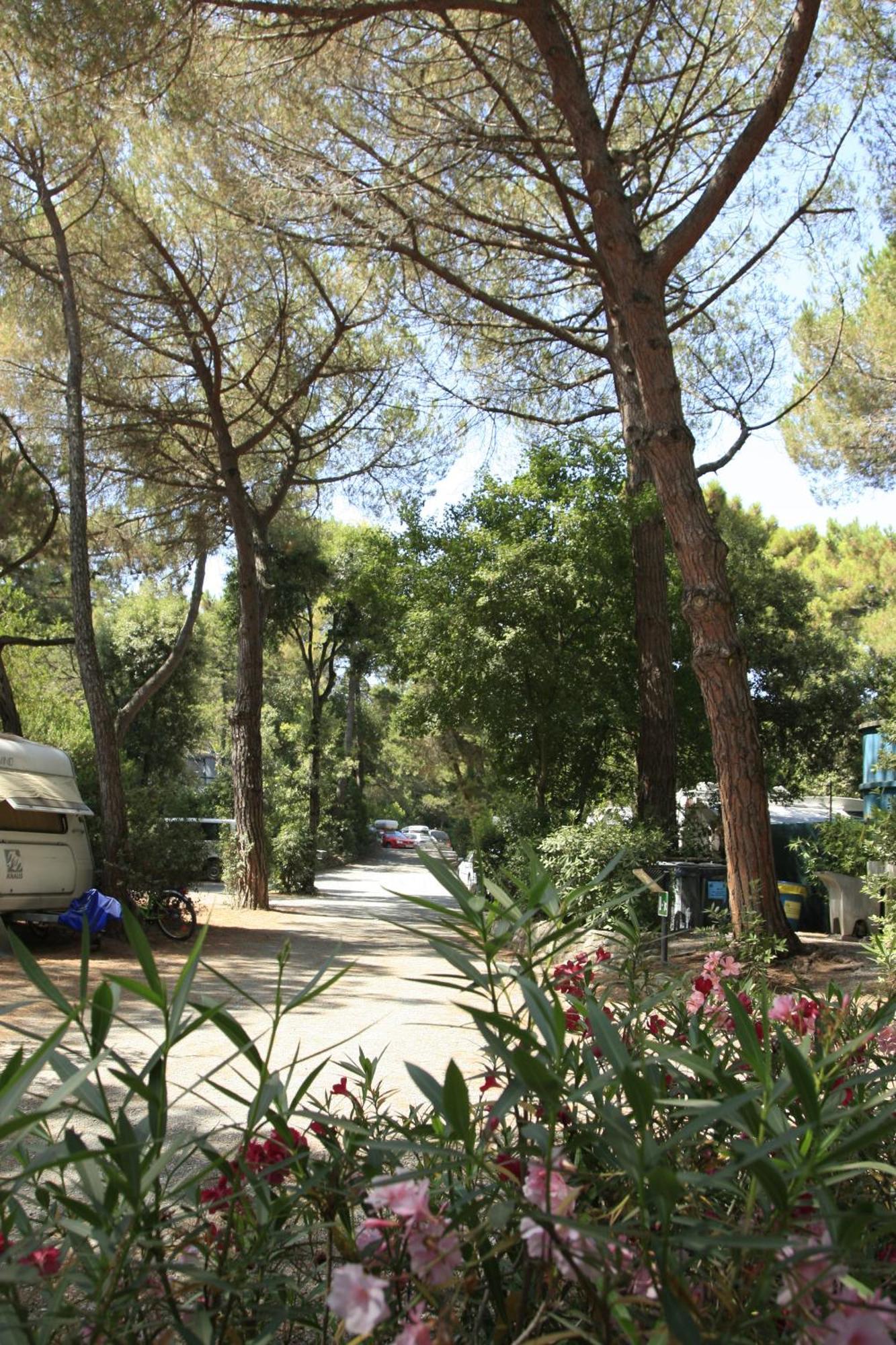 Camping Casa Di Caccia 마리나디비보나 외부 사진