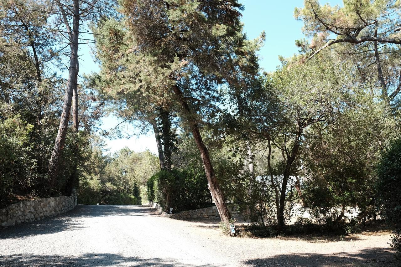 Camping Casa Di Caccia 마리나디비보나 외부 사진