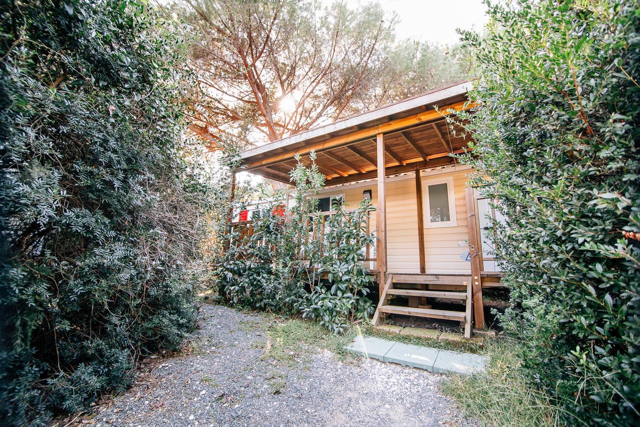 Camping Casa Di Caccia 마리나디비보나 외부 사진